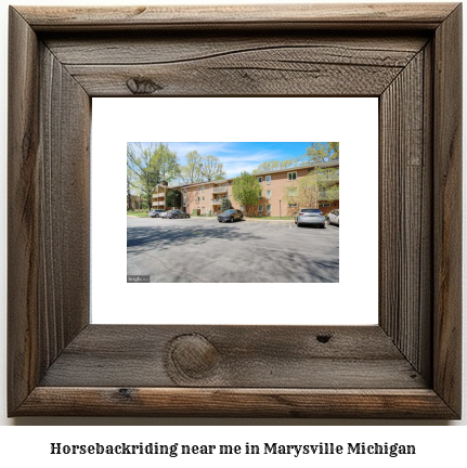 horseback riding near me in Marysville, Michigan